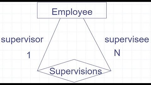 Entity-Relationship Model : Recursive relationship