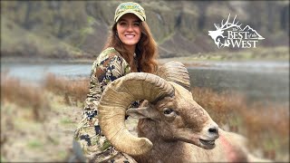 Massive Oregon Bighorn Sheep over 180&quot;