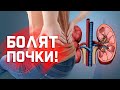 Когда поясница болит из-за почек?