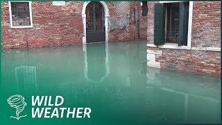 Why Venice Is Sinking - The Floods, Corruption, and Fight to Survive