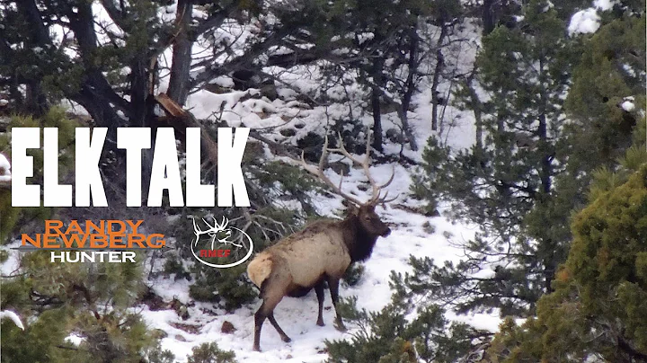 (DIY hunting) ELK TALK - Randy Newberg's "SYSTEM" ...