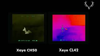 Test-Aufnahmen Im Revier Xeye Ch50 Vs Xeye Cl42