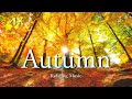 4K【紅葉に染まる秋の大自然4K映像】リラックス音楽と鳥の自然音|世界の絶景を見ながらお家で旅行|睡眠用・作業用・高画質|autumn forest UHD