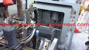 automatic bag filling machine with the cap and ring adding device