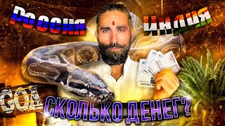 Индия, Гоа! Сколько денег потратил за 2,5 месяца пути. 