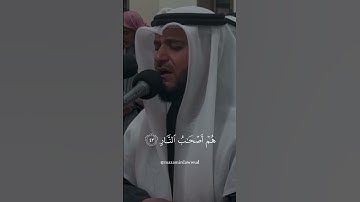 فَسَتَذْكُرُونَ مَآ أَقُولُ لَكُمْ ۚ || من سورة غافر: عندما يبدع الشيخ 🎧🤍 || القارئ مشاري العفاسي