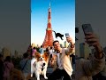 Layla Starts Puppy Chaos #shorts #comedy #funny #laughs