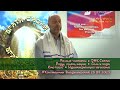 Врата Сиона - врата народов. ДНК Света. Роды, языки, нации. Соль и вода. Кто кого? 29.07.2023