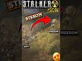 ☢️ Old STALKER: NPCs Use Stealth 😮 AI Was Amazing 18 Years Ago #Shorts #Stalker #games