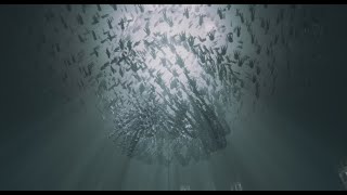 control: resonant trailer music