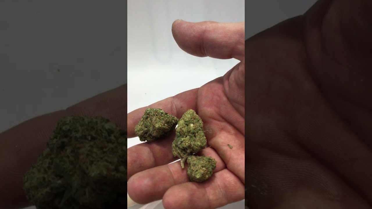 CBD Top Quality - Pineapple Express - Cannabis Light by canapa-market.com