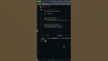 how to use url params in fastapi | python tutorial for beginners #python #pythontutorial