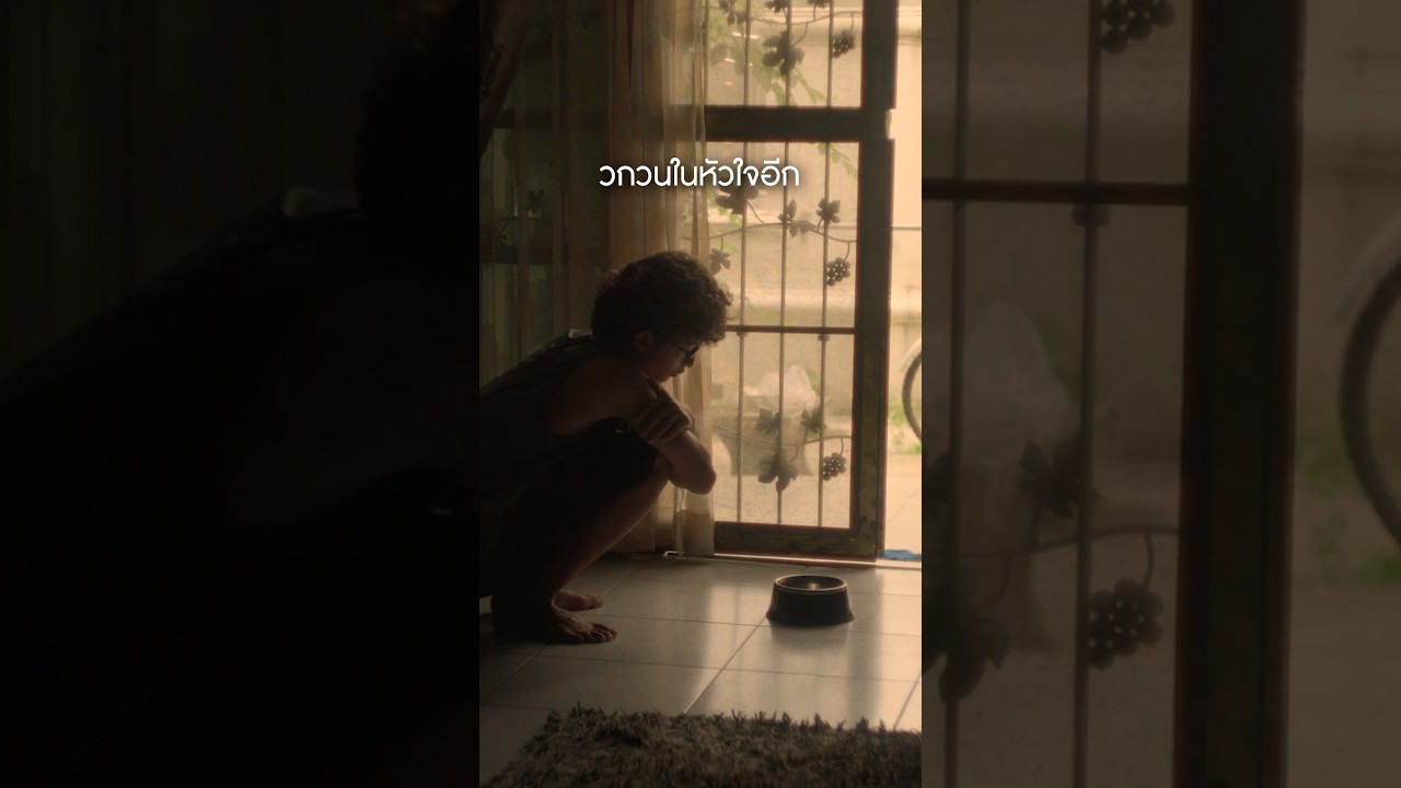 คิดถึงจนทนไม่ไหว ได้แต่เก็บอาการแล้วเดินต่อไป #คิดถึงไม่ไหว #Paradox #genieShorts