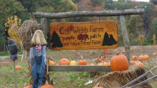 Pumpkin Day At Cob Webb Farm