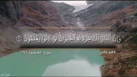 سورة العنكبوت {٦٤} || القارئ شعيب بسام ياغي