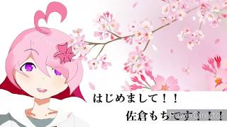 「【自己紹介】桜もちの擬人化、佐倉もち！！ 【新人Vtuber】」のサムネイル