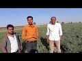 Nfl prograsiv farmers in indore mp