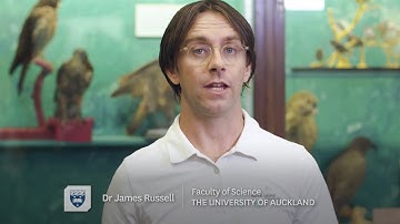 Sustainability at the University of Auckland - SDG 15 (Life on Land)