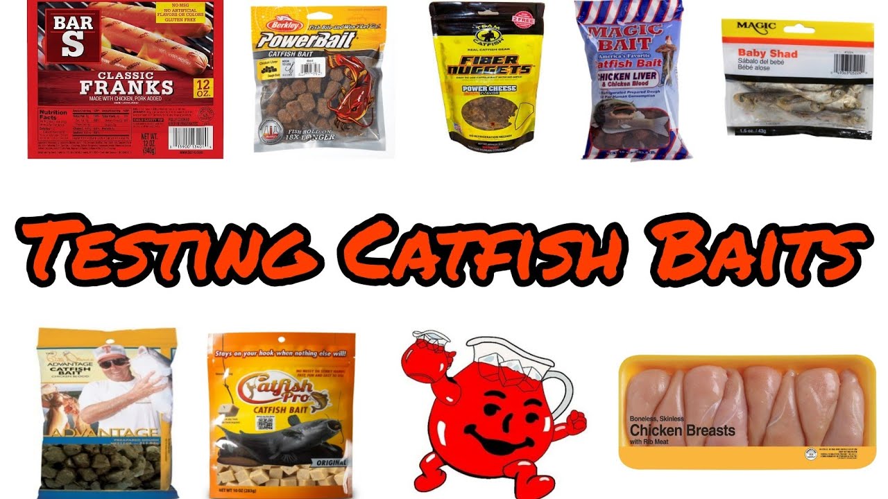 Catfish Bait Review. Store Bought, and Easy Made. catfishing 