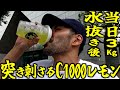 【地獄水抜き】計量当日朝あと３kg••• シヌ気で落とせ。ジロリアンボクサーのサウナに密着。