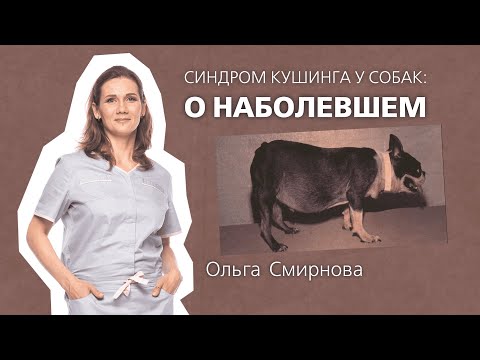 Синдром Кушинга: о наболевшем