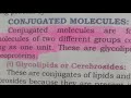 Conjugated Molecules #Biology #Mdcat #Neet #Mcat #entrytestHelpful