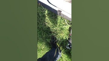 Fatshark Attitude sd Headtracker !! Turnigy 9x