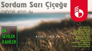 Sordum Sarı Çiçeğe - Mehmet Emin Ay Resimi