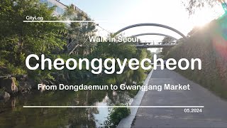 Walk in Seoul - Cheonggyecheon(From Dongdaemun to Gwangjang Market) 청계천(동대문에서 광장시장) 清溪川 チョンギェチョン