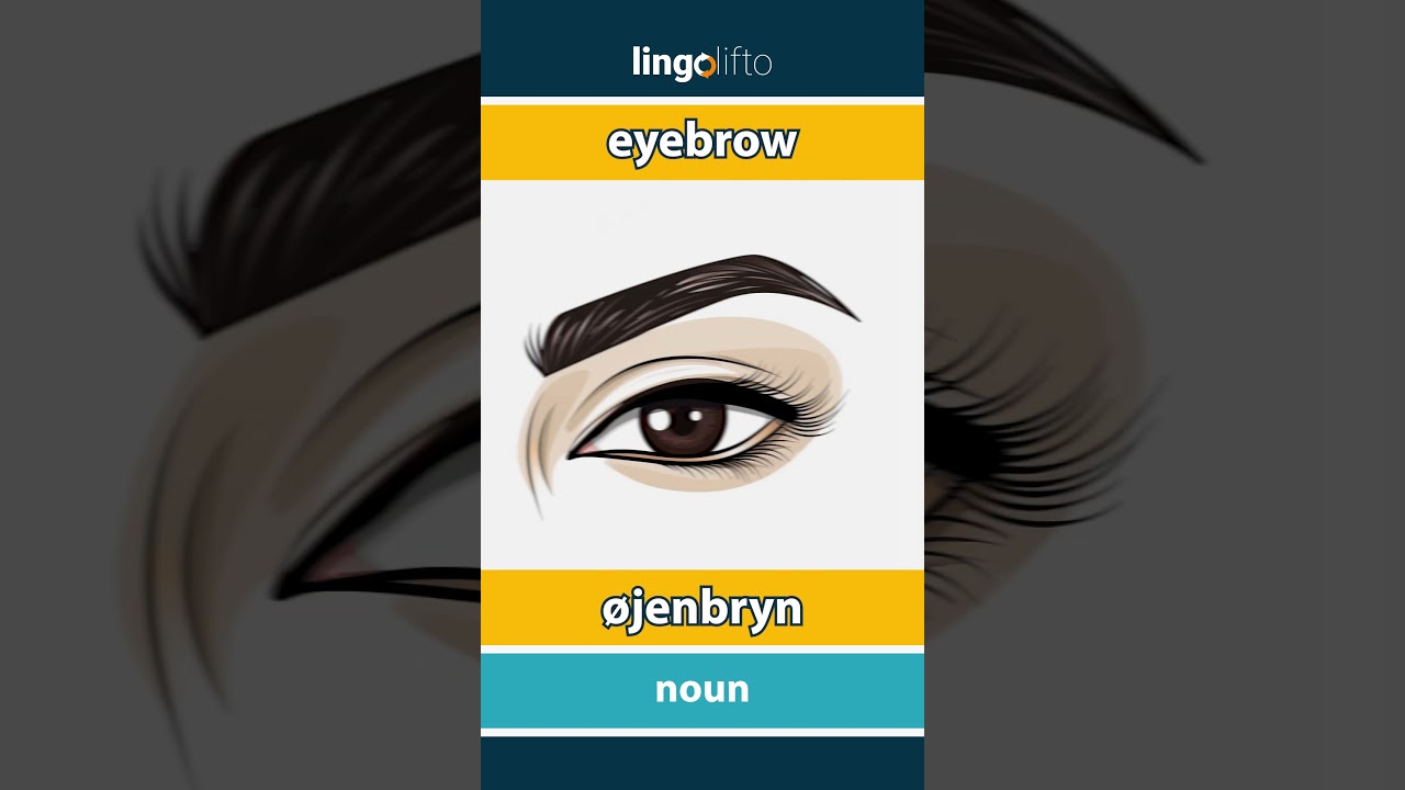 🇬🇧🇩🇰 eyebrow - øjenbryn : vocabulary builder : learn English : Lad os lære engelsk