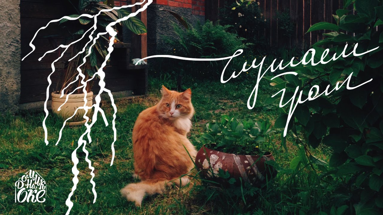 Таруса на оке
