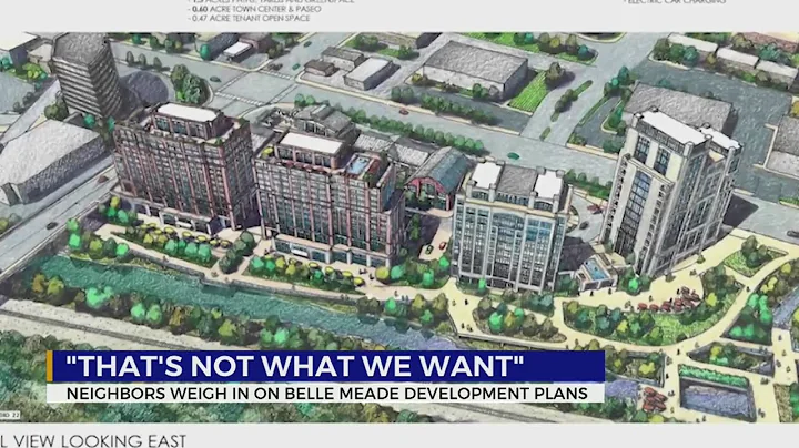 Neighbors concerned with proposed Belle Meade Plaz...