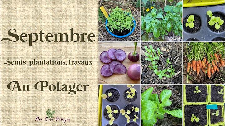 Que faire en Septembre au potager ?