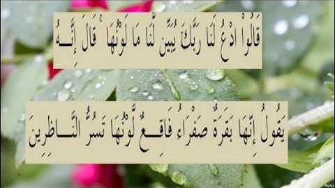 القران الكريم سورة البقرة الاية 69