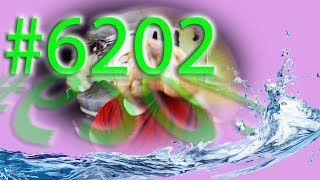 Thumbnail for Jon Drinks Water #6202
