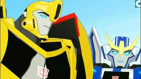 Strongarm and bumblebee-Music video