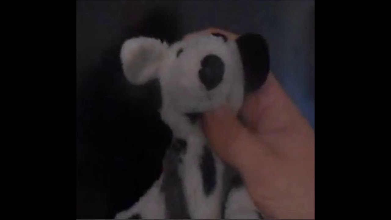 webkinz dalmatian