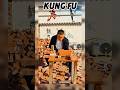 Kung Fu shadow Master Breakin Bricks 2024 || Kung Fu Monk Skills & Teqniques #viralvideos #ytshorts