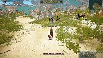 Black Desert Online Hacker Recording
