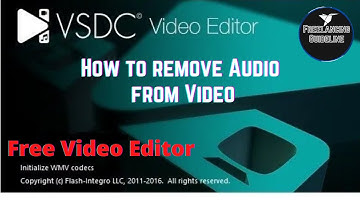 How to remove Audio From Video 2021 (VSDC Video Editor)