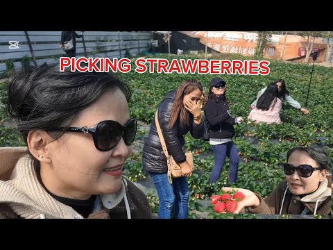 PICKING STRAWBERRIES /FANLING HONG KONG #FRIENDSHIP #OFWLIFE #VIRAL #fruit #SWEET