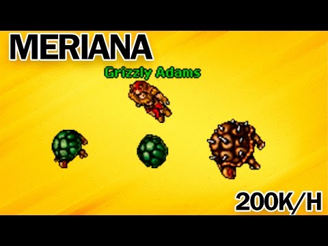 Tibia-Hunt Meriana ED 30+ (200k/h exp)