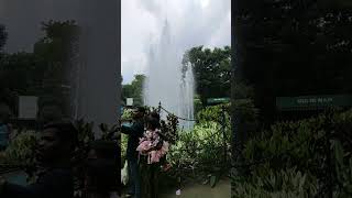 VID 20211014 155812650 HDR