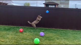 Messi teaches Gerda to play a game of balloons