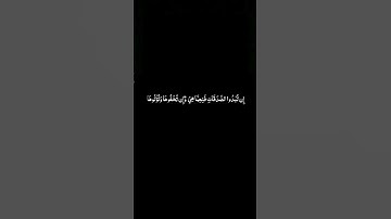 #القران_الكريم #سورة_البقره ##ياسر_الدوسري #كرومات_سوداء  الآيات 269 _ 271