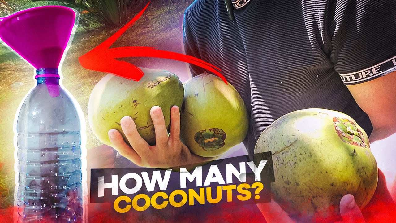 How Many Coconuts are Enough To Make 1.5 L of Coconut Milk (Water