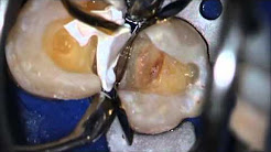 Help things in dentistry