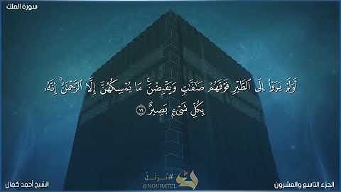 سورة الملك من صلاة الفجر 19/12/2022