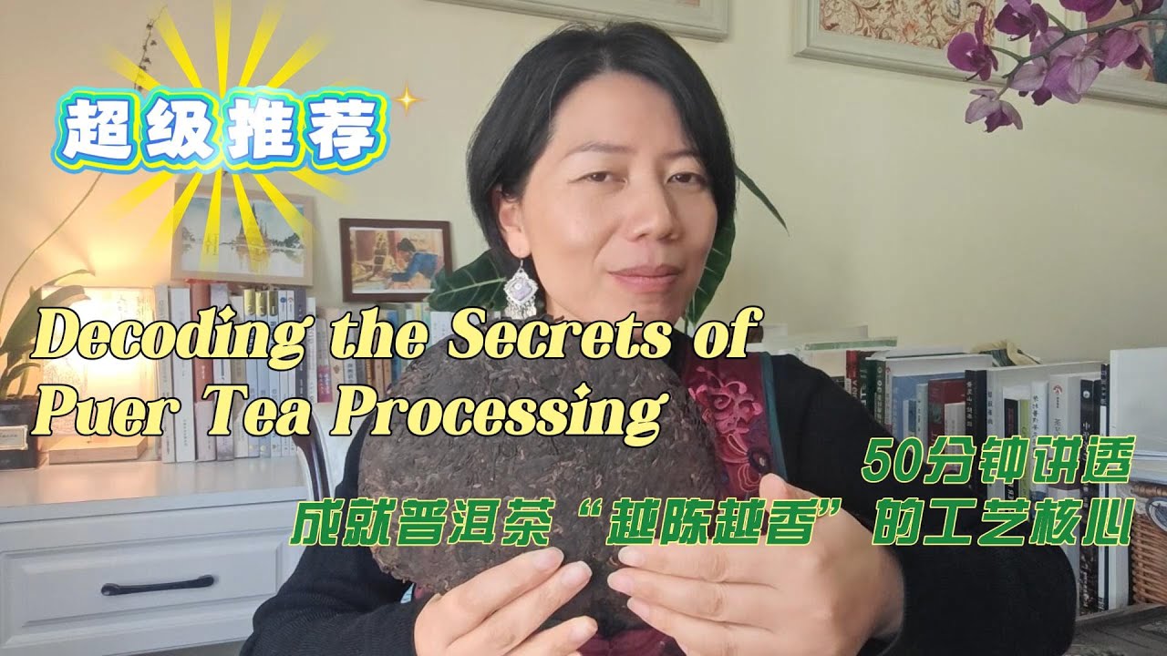 The Essence of Processing of Puer Tea 普洱茶的加工工艺精华篇