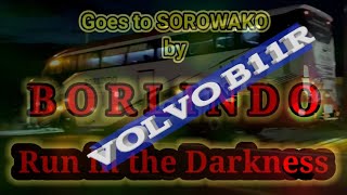 Berangkat Ke Sorowako Dengan Bus Borlindo